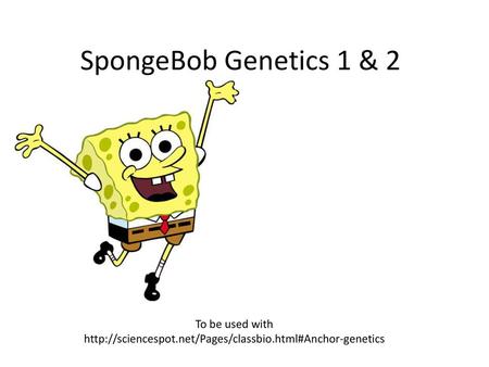 Spongebob Genetics 1 2 To Be Used With Ppt Video Online Download
