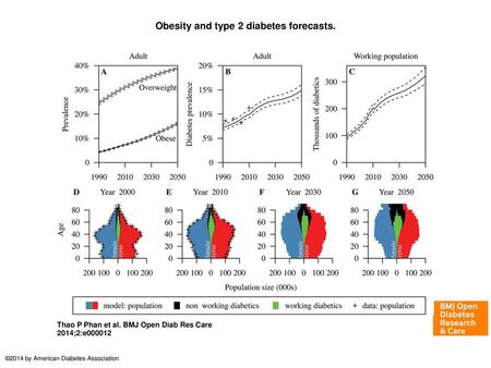 Obesity and type 2 diabetes forecasts.