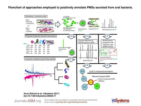 Flowchart of approaches employed to putatively annotate PMSs secreted from oral bacteria. Flowchart of approaches employed to putatively annotate PMSs.