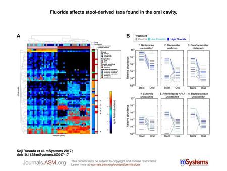 Fluoride affects stool-derived taxa found in the oral cavity.