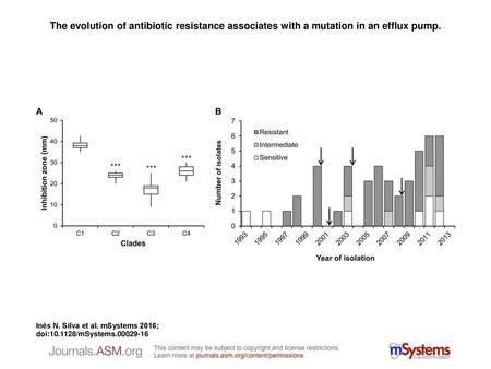 The evolution of antibiotic resistance associates with a mutation in an efflux pump. The evolution of antibiotic resistance associates with a mutation.