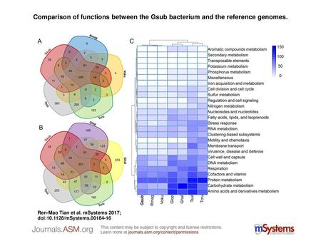 Comparison of functions between the Gsub bacterium and the reference genomes. Comparison of functions between the Gsub bacterium and the reference genomes.