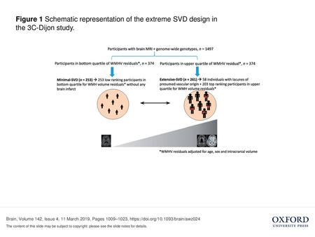 Figure 1 Schematic representation of the extreme SVD design in the 3C-Dijon study. Unless provided in the caption above, the following copyright applies.