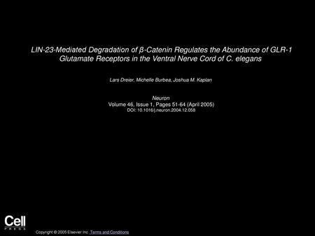 LIN-23-Mediated Degradation of β-Catenin Regulates the Abundance of GLR-1 Glutamate Receptors in the Ventral Nerve Cord of C. elegans  Lars Dreier, Michelle.