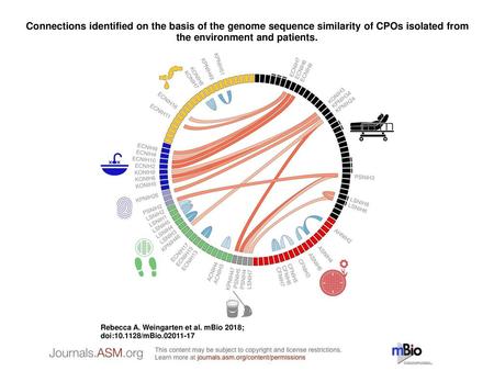 Connections identified on the basis of the genome sequence similarity of CPOs isolated from the environment and patients. Connections identified on the.
