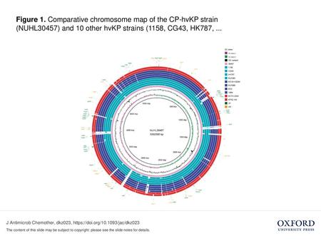 Figure 1. Comparative chromosome map of the CP-hvKP strain (NUHL30457) and 10 other hvKP strains (1158, CG43, HK787, ... Figure 1. Comparative chromosome.
