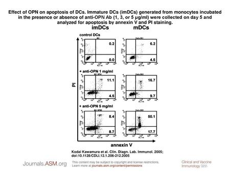 Effect of OPN on apoptosis of DCs