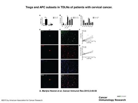 Tregs and APC subsets in TDLNs of patients with cervical cancer.