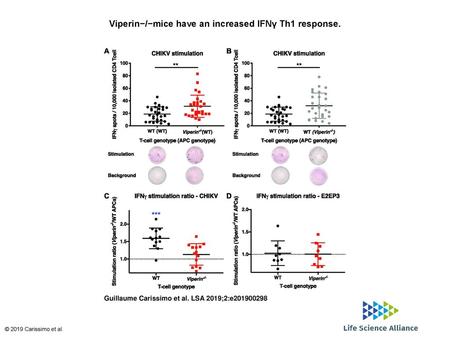 Viperin−/−mice have an increased IFNγ Th1 response.