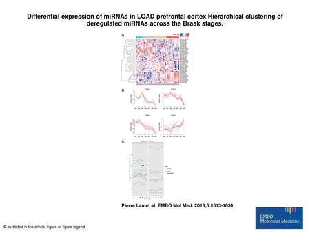 Differential expression of miRNAs in LOAD prefrontal cortex Hierarchical clustering of deregulated miRNAs across the Braak stages. Differential expression.