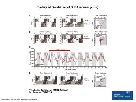 Dietary administration of DHEA reduces jet‐lag