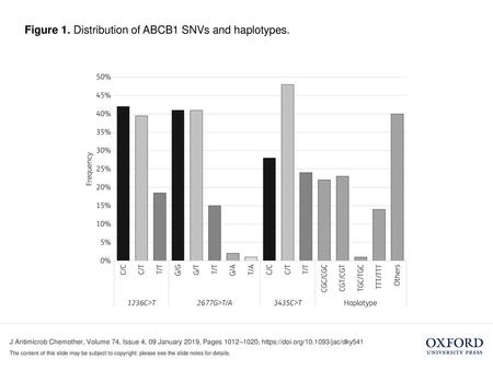 Figure 1. Distribution of ABCB1 SNVs and haplotypes.