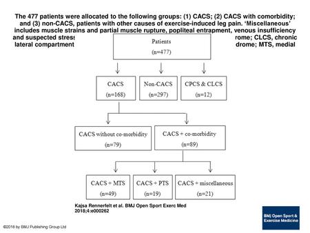 The 477 patients were allocated to the following groups: (1) CACS; (2) CACS with comorbidity; and (3) non-CACS, patients with other causes of exercise-induced.