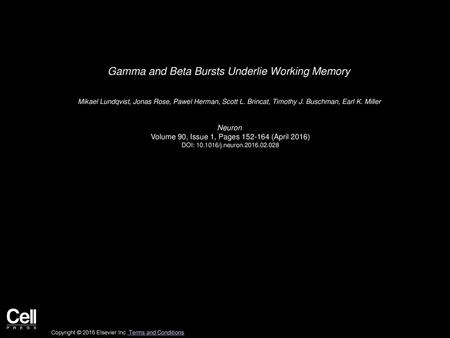 Gamma and Beta Bursts Underlie Working Memory