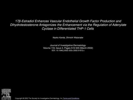 17β-Estradiol Enhances Vascular Endothelial Growth Factor Production and Dihydrotestosterone Antagonizes the Enhancement via the Regulation of Adenylate.