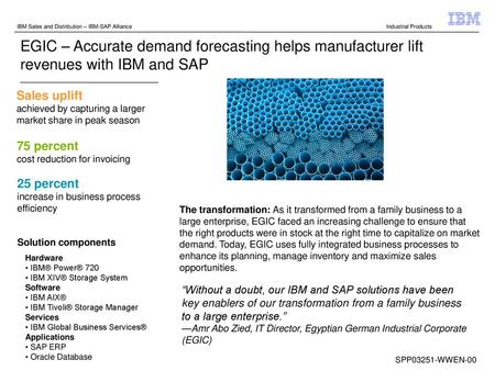 IBM Sales and Distribution – IBM-SAP Alliance