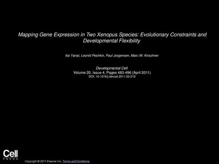 Mapping Gene Expression in Two Xenopus Species: Evolutionary Constraints and Developmental Flexibility  Itai Yanai, Leonid Peshkin, Paul Jorgensen, Marc W.