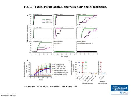 Fig. 2. RT-QuIC testing of sCJD and vCJD brain and skin samples.