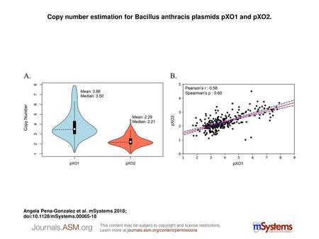 Copy number estimation for Bacillus anthracis plasmids pXO1 and pXO2.