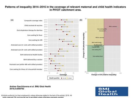 Patterns of inequality 2014–2016 in the coverage of relevant maternal and child health indicators in PIVOT catchment area. Patterns of inequality 2014–2016.