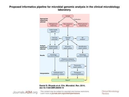 Proposed informatics pipeline for microbial genomic analysis in the clinical microbiology laboratory. Proposed informatics pipeline for microbial genomic.