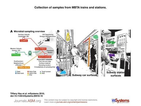 Collection of samples from MBTA trains and stations.