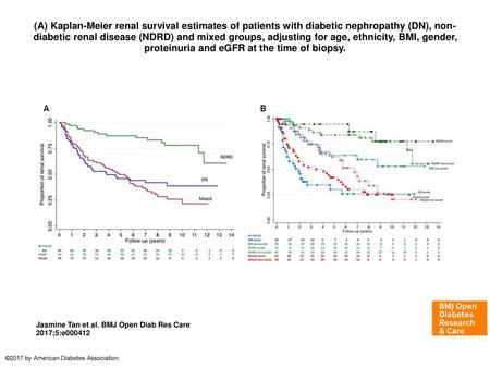 (A) Kaplan-Meier renal survival estimates of patients with diabetic nephropathy (DN), non-diabetic renal disease (NDRD) and mixed groups, adjusting for.