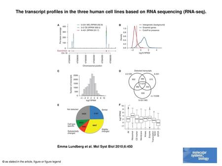 The transcript profiles in the three human cell lines based on RNA sequencing (RNA‐seq). The transcript profiles in the three human cell lines based on.