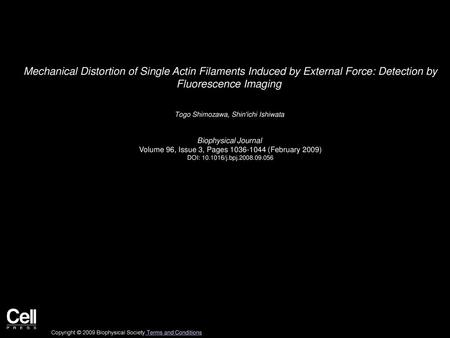 Mechanical Distortion of Single Actin Filaments Induced by External Force: Detection by Fluorescence Imaging  Togo Shimozawa, Shin'ichi Ishiwata  Biophysical.