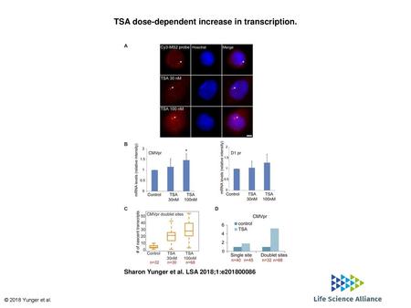 TSA dose-dependent increase in transcription.