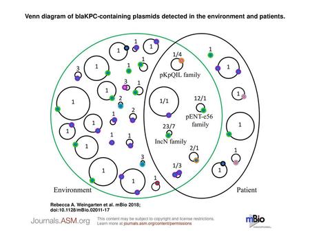 Venn diagram of blaKPC-containing plasmids detected in the environment and patients. Venn diagram of blaKPC-containing plasmids detected in the environment.