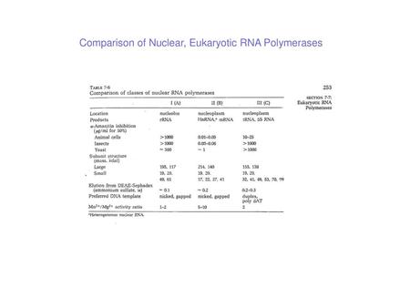 Comparison of Nuclear, Eukaryotic RNA Polymerases
