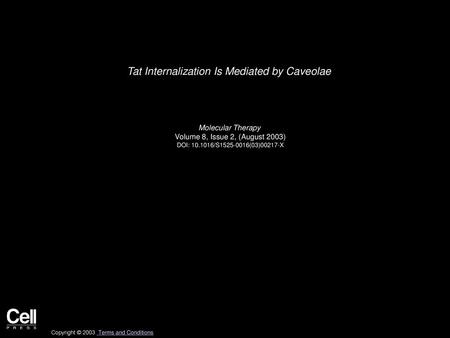 Tat Internalization Is Mediated by Caveolae