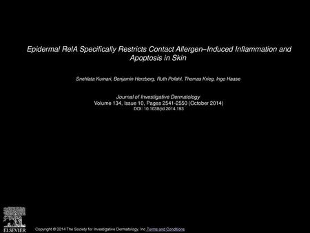 Epidermal RelA Specifically Restricts Contact Allergen–Induced Inflammation and Apoptosis in Skin  Snehlata Kumari, Benjamin Herzberg, Ruth Pofahl, Thomas.