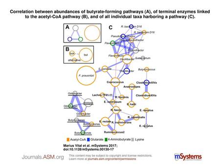 Correlation between abundances of butyrate-forming pathways (A), of terminal enzymes linked to the acetyl-CoA pathway (B), and of all individual taxa harboring.
