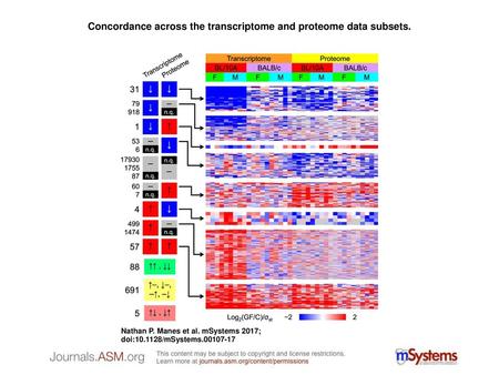 Concordance across the transcriptome and proteome data subsets.