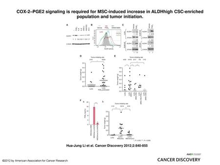 COX-2–PGE2 signaling is required for MSC-induced increase in ALDHhigh CSC-enriched population and tumor initiation. COX-2–PGE2 signaling is required for.