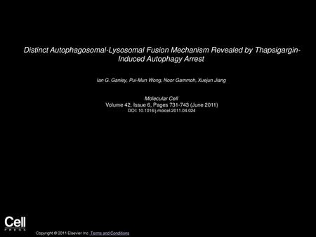 Distinct Autophagosomal-Lysosomal Fusion Mechanism Revealed by Thapsigargin- Induced Autophagy Arrest  Ian G. Ganley, Pui-Mun Wong, Noor Gammoh, Xuejun.