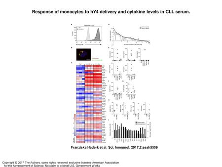 Response of monocytes to hY4 delivery and cytokine levels in CLL serum