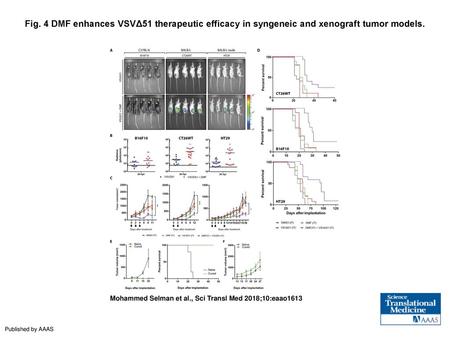 Fig. 4 DMF enhances VSVΔ51 therapeutic efficacy in syngeneic and xenograft tumor models. DMF enhances VSVΔ51 therapeutic efficacy in syngeneic and xenograft.