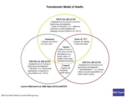 Transdomain Model of Health.