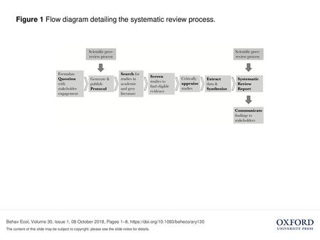 Figure 1 Flow diagram detailing the systematic review process.