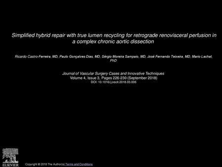 Simplified hybrid repair with true lumen recycling for retrograde renovisceral perfusion in a complex chronic aortic dissection  Ricardo Castro-Ferreira,