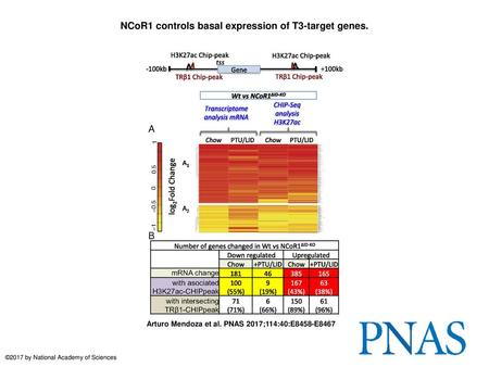 NCoR1 controls basal expression of T3-target genes.