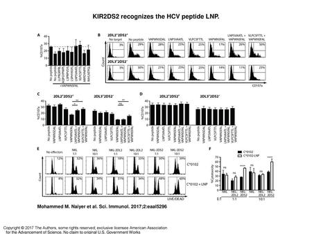 KIR2DS2 recognizes the HCV peptide LNP.