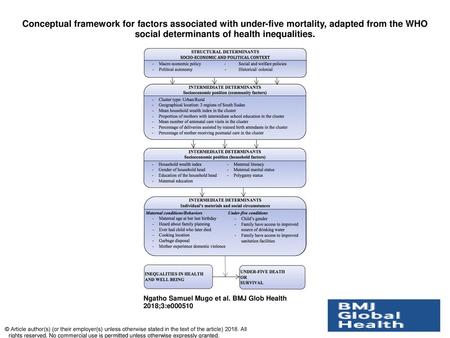 Conceptual framework for factors associated with under-five mortality, adapted from the WHO social determinants of health inequalities. Conceptual framework.