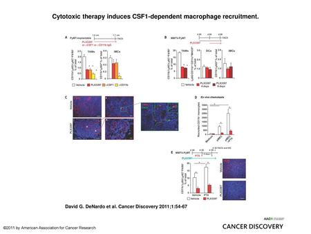 Cytotoxic therapy induces CSF1-dependent macrophage recruitment.