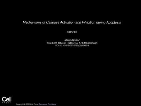 Mechanisms of Caspase Activation and Inhibition during Apoptosis