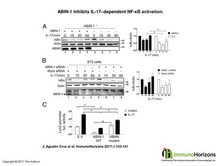 ABIN-1 inhibits IL-17–dependent NF-κB activation.