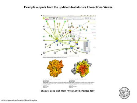 Example outputs from the updated Arabidopsis Interactions Viewer.